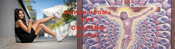 шишки Дмитровск