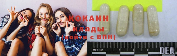 шишки Дмитровск