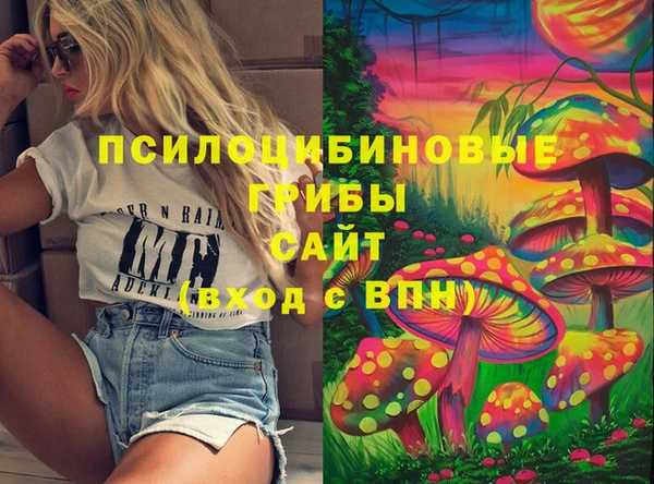 шишки Дмитровск