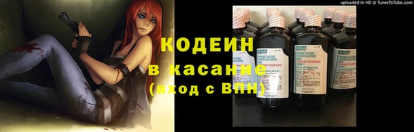 шишки Дмитровск