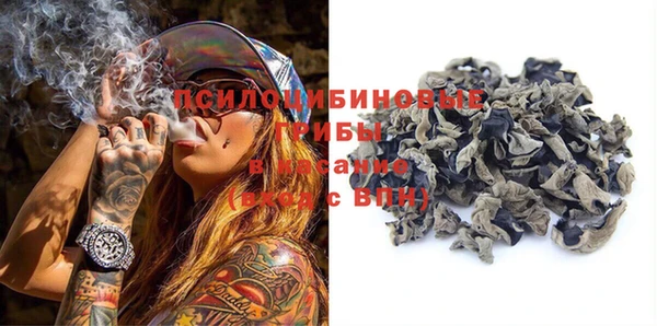 не бодяженный Ельня