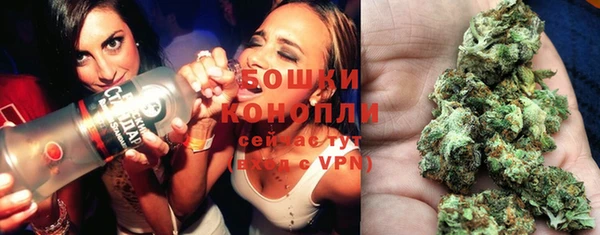 шишки Дмитровск