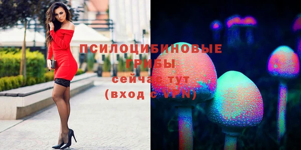 не бодяженный Ельня
